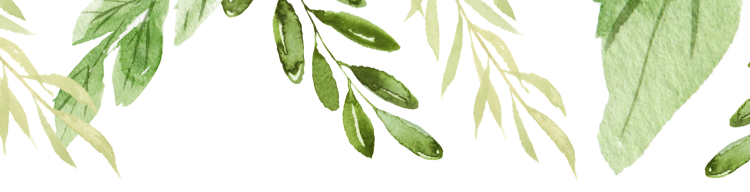 640_wx_fmt_png_from_appmsg