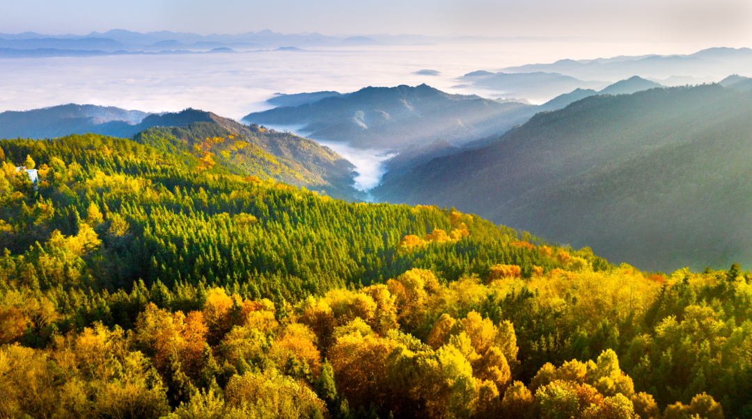 竹溪县旅游景点大全图片