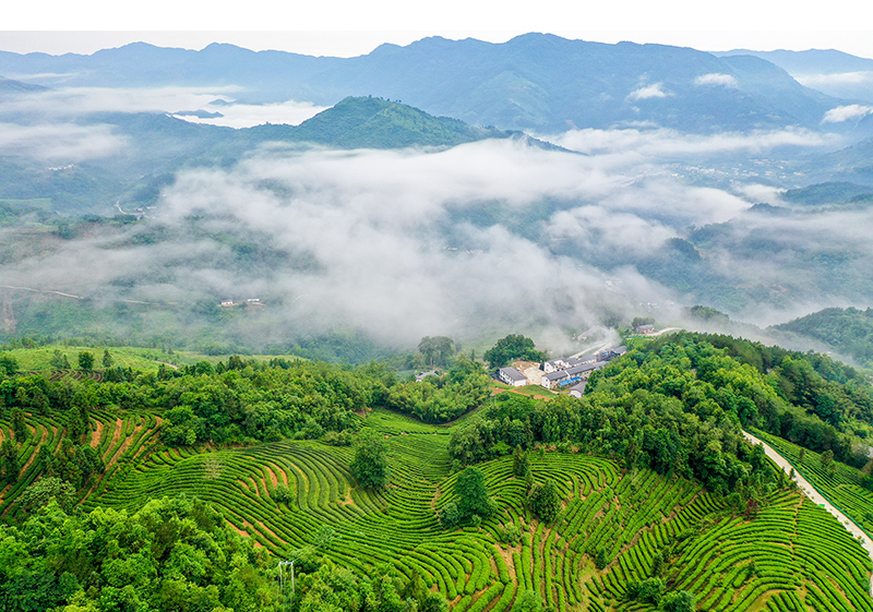 竹溪风景图片