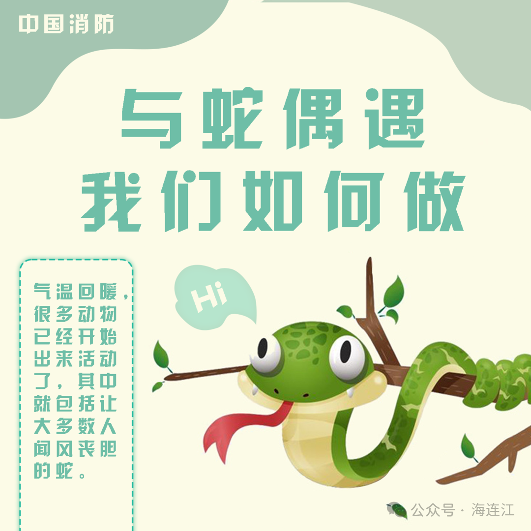 小心！小心！连江有蛇出没！