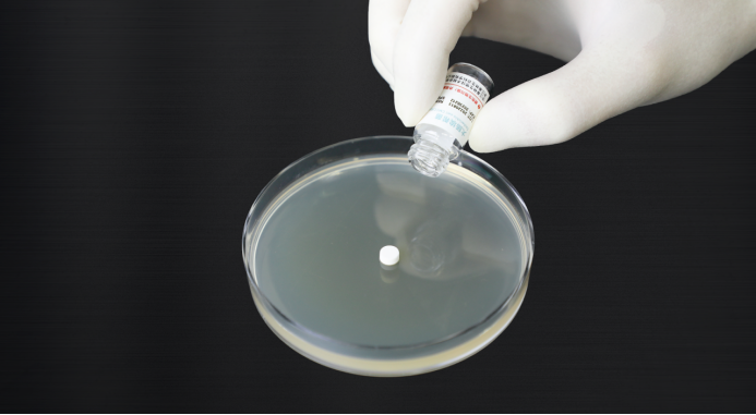 質(zhì)控菌株 I 微生物界的“凍齡魔法