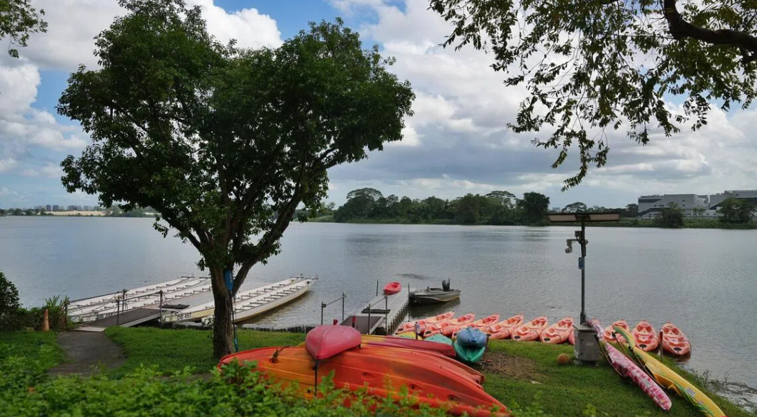 新加坡simplygo怎么使用新加坡教育生活资讯（2025.12.24）_https://www.jmylbn.com_新闻资讯_第10张