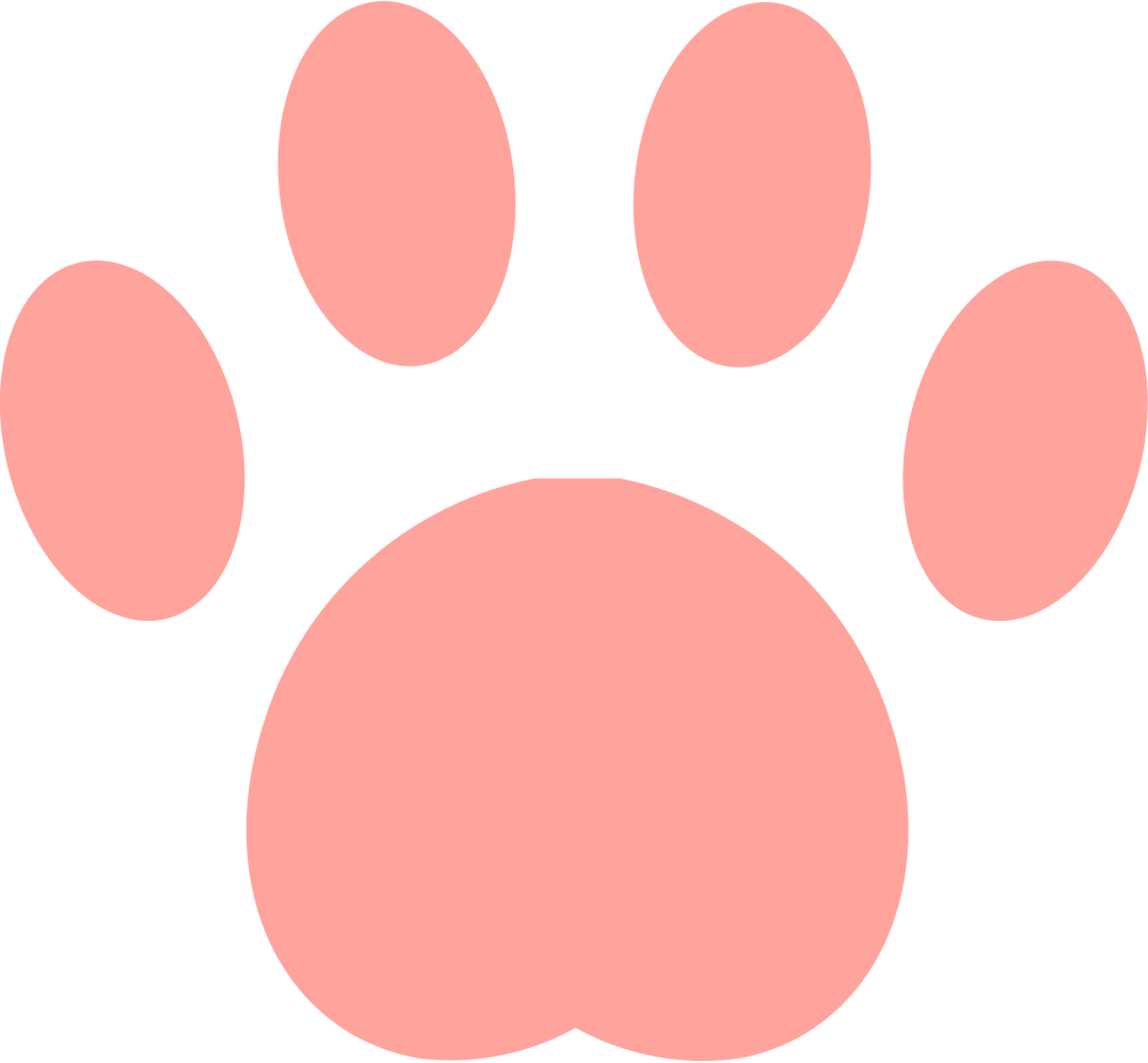 南昌市青少年发展基金会