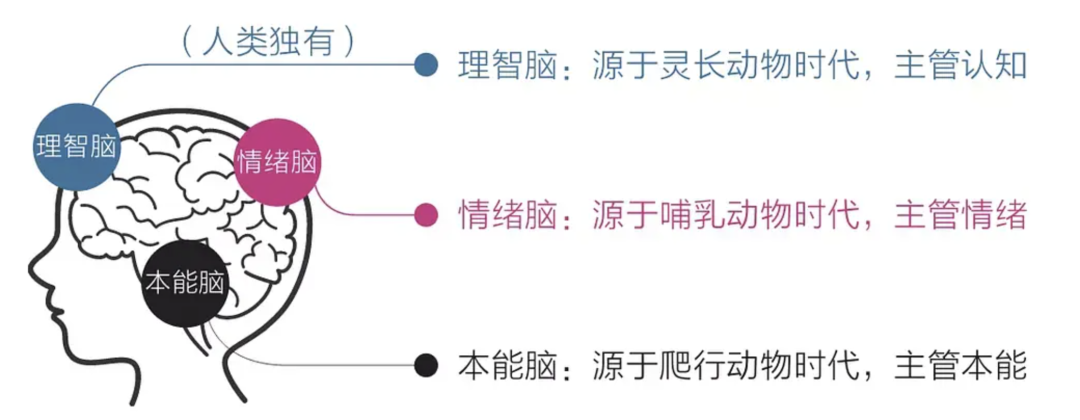 2024年短视频制作攻略：打造高质量内容的秘诀！
