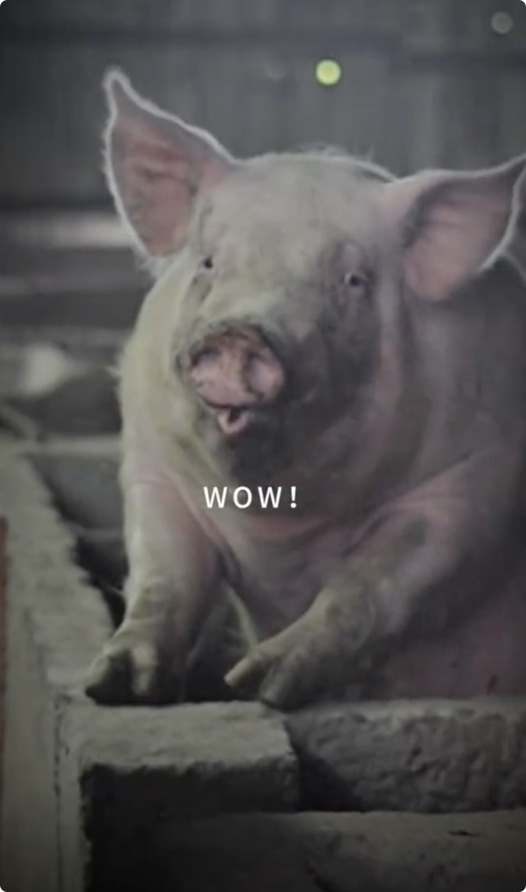 2024年短视频制作攻略：打造高质量内容的秘诀！