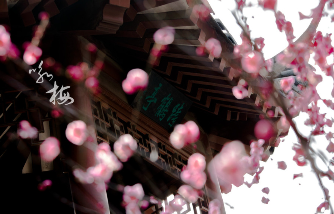 王昌龄是哪个朝代的_王昌龄是什么代的人_朝代王昌龄是哪里人