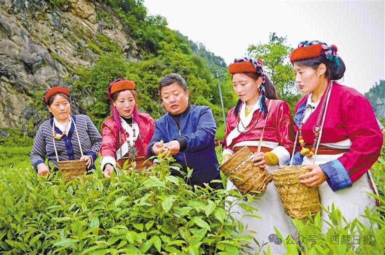 浪坡乡肖村就坐落于这青山绿水间,一排排崭新的房屋错落有致.