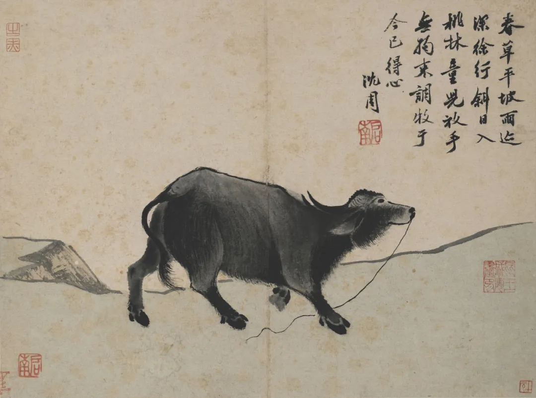 姐姐读了好大学，为何却被祸害？