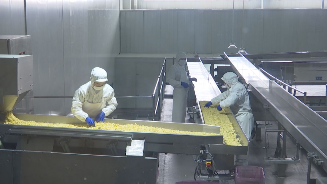 企业生产总值_总值生产企业是指什么_总值生产企业怎么算