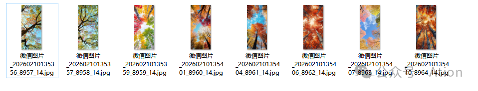 [Pasted image 20260211202400.png]