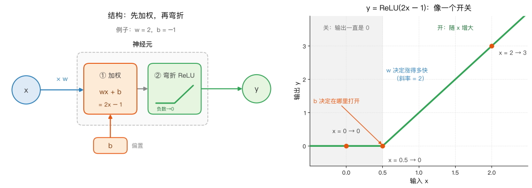 一个最简单的神经元：输入乘以权重、加上偏置，再经过 ReLU 弯折；w = 2、b = −1 时，它像一个在 x = 0.5 处打开的开关