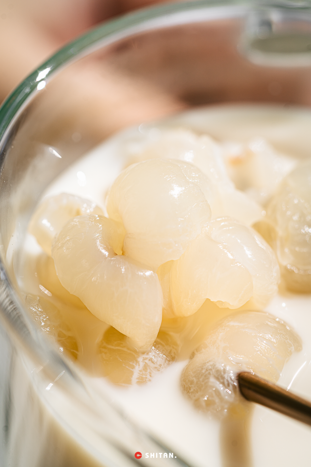 û����gaga�Ɑ��Ʒ��������....