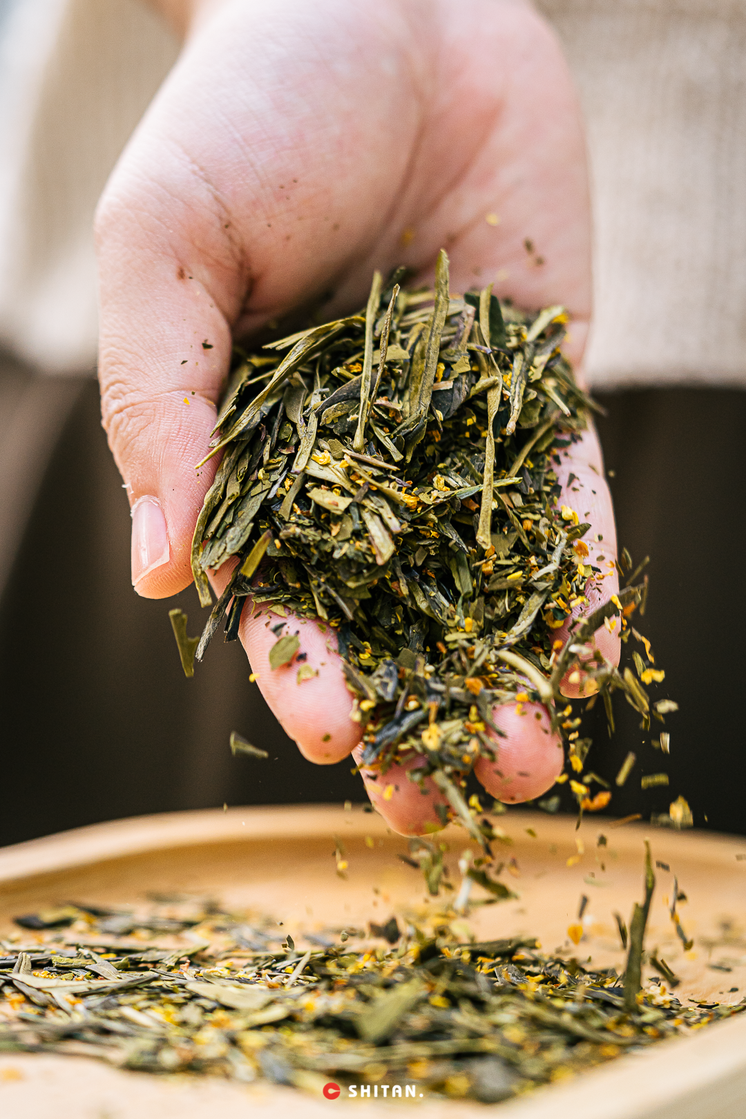 û����gaga�Ɑ��Ʒ��������....