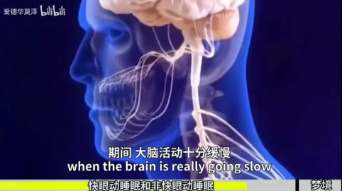 2021年诺贝尔奖官网_诺贝尔官网奖项有哪些_诺贝尔奖官网