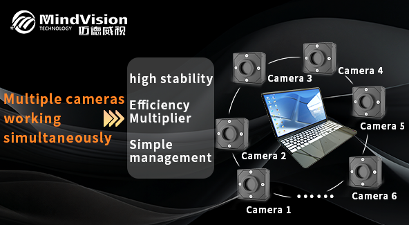 Multiple cameras, working simultaneously