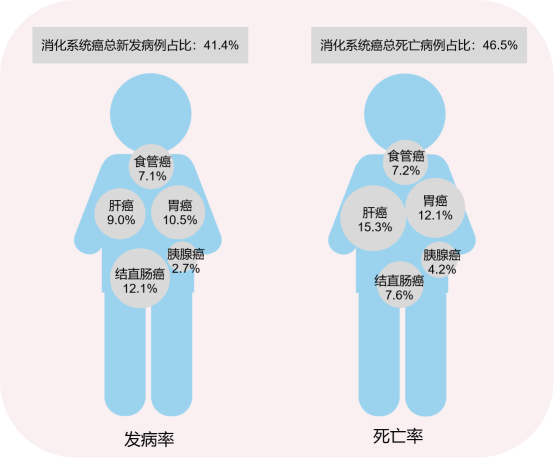 在中国，为什么要特别重视预防消化系统癌症？
