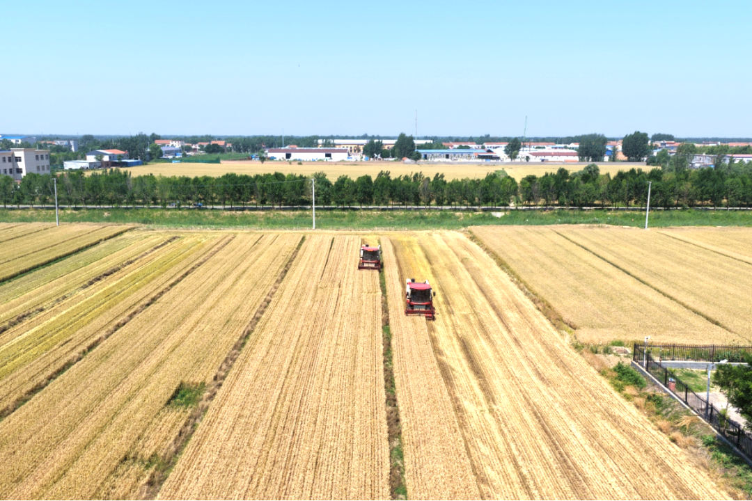 DJI_20260602095043_0423_D.JPG