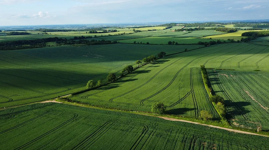 绿博研究所 | 农业绿色底色更鲜明