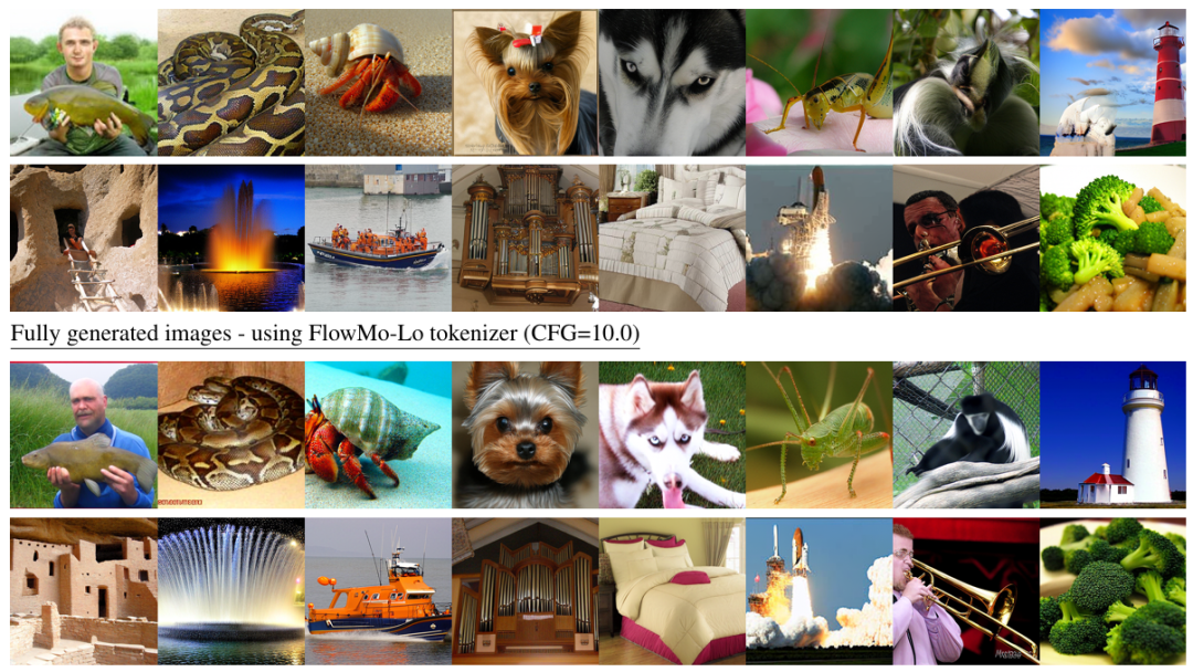 李飞飞、吴佳俊团队新作：不需要卷积和GAN，更好的图像tokenizer来了