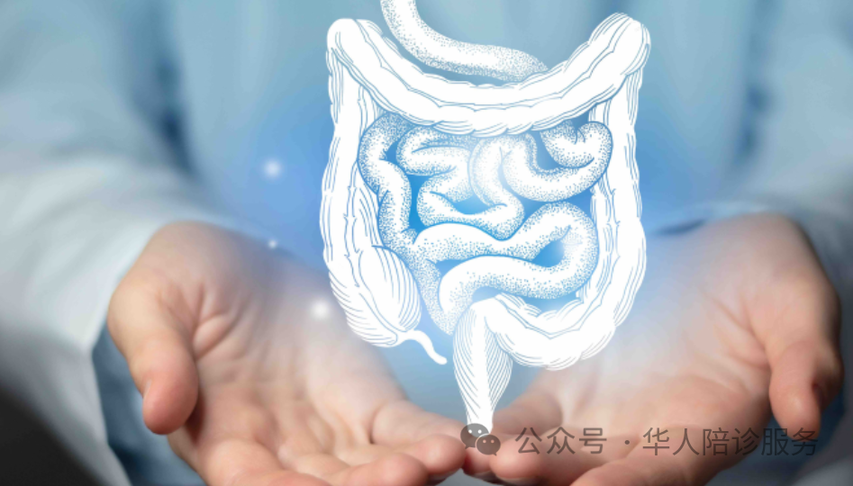 人工智能驱动的内窥镜创新促进全球健康公平！