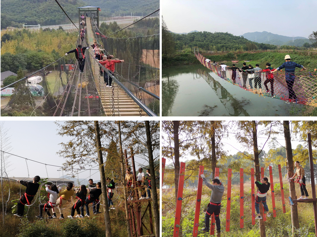 QQ截图20201028085432.jpg