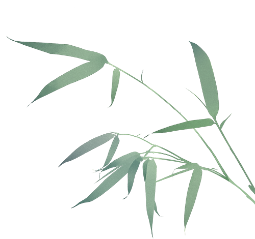 《WPIE青少年总裁班》开课须知