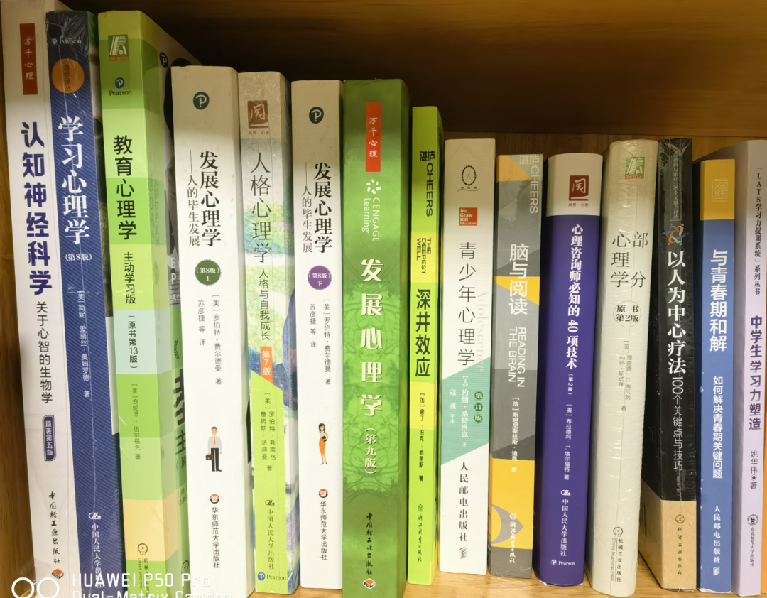 人生导师在我生命不同阶段中的重要性——卢玲
