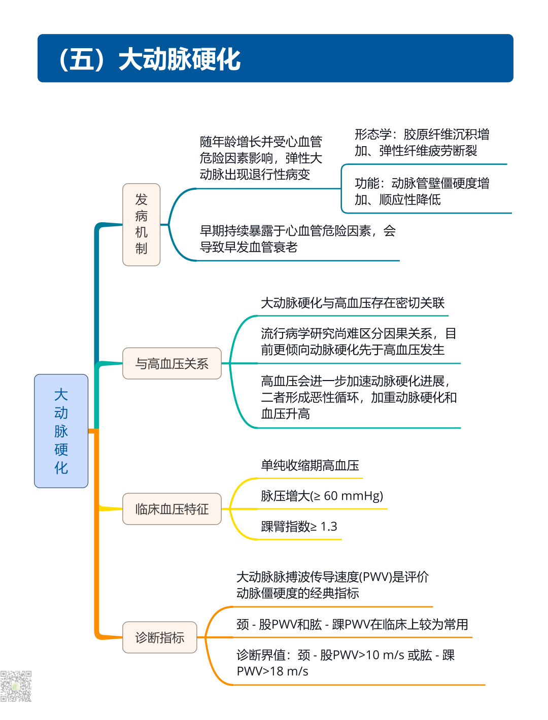 继发性高血压筛查和诊断中国专家共识2025（大总结）