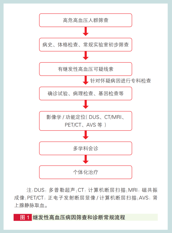 继发性高血压筛查和诊断中国专家共识2025（大总结）