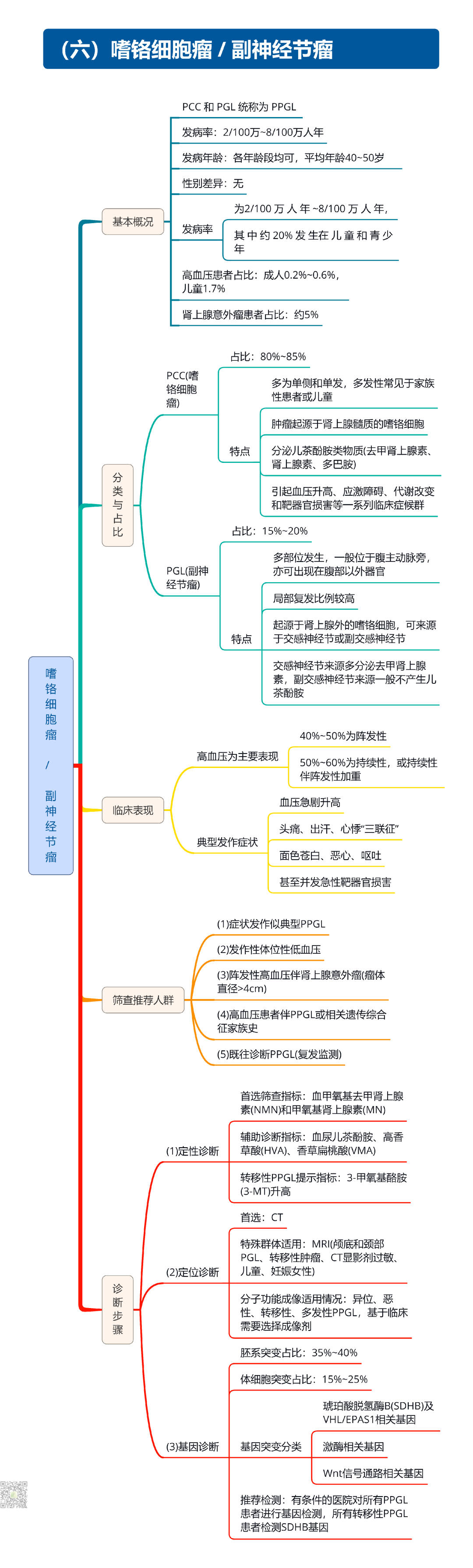继发性高血压筛查和诊断中国专家共识2025（大总结）