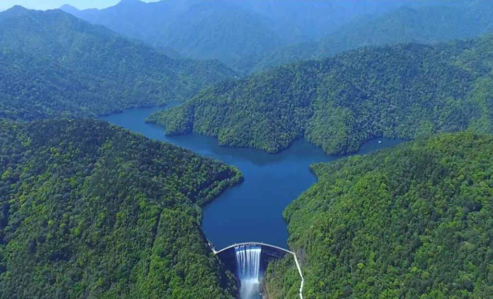 应用 | Microtrace重金属分析技术助力水源地风险防控