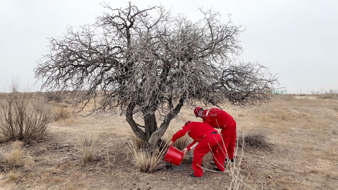 它叫黑格兰↗蒙名为雅士木杜