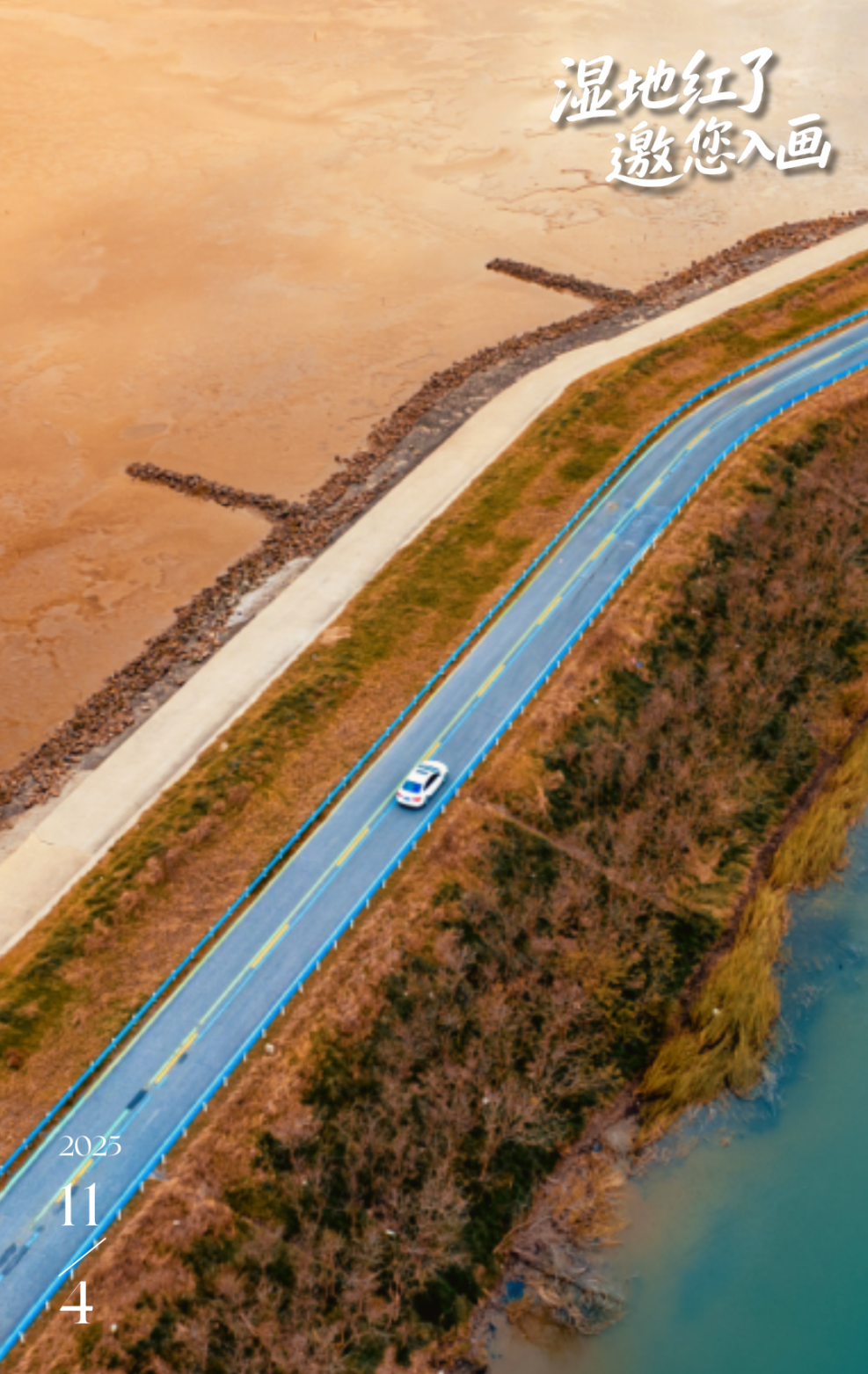 条子 泥景区 (12).png