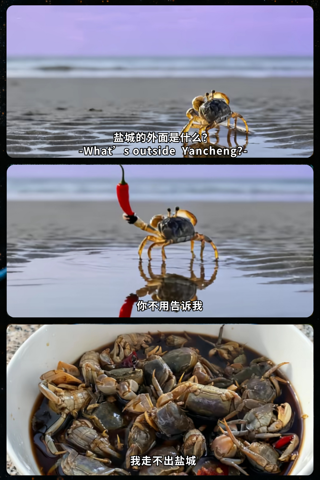 你的段落文字 (5).png