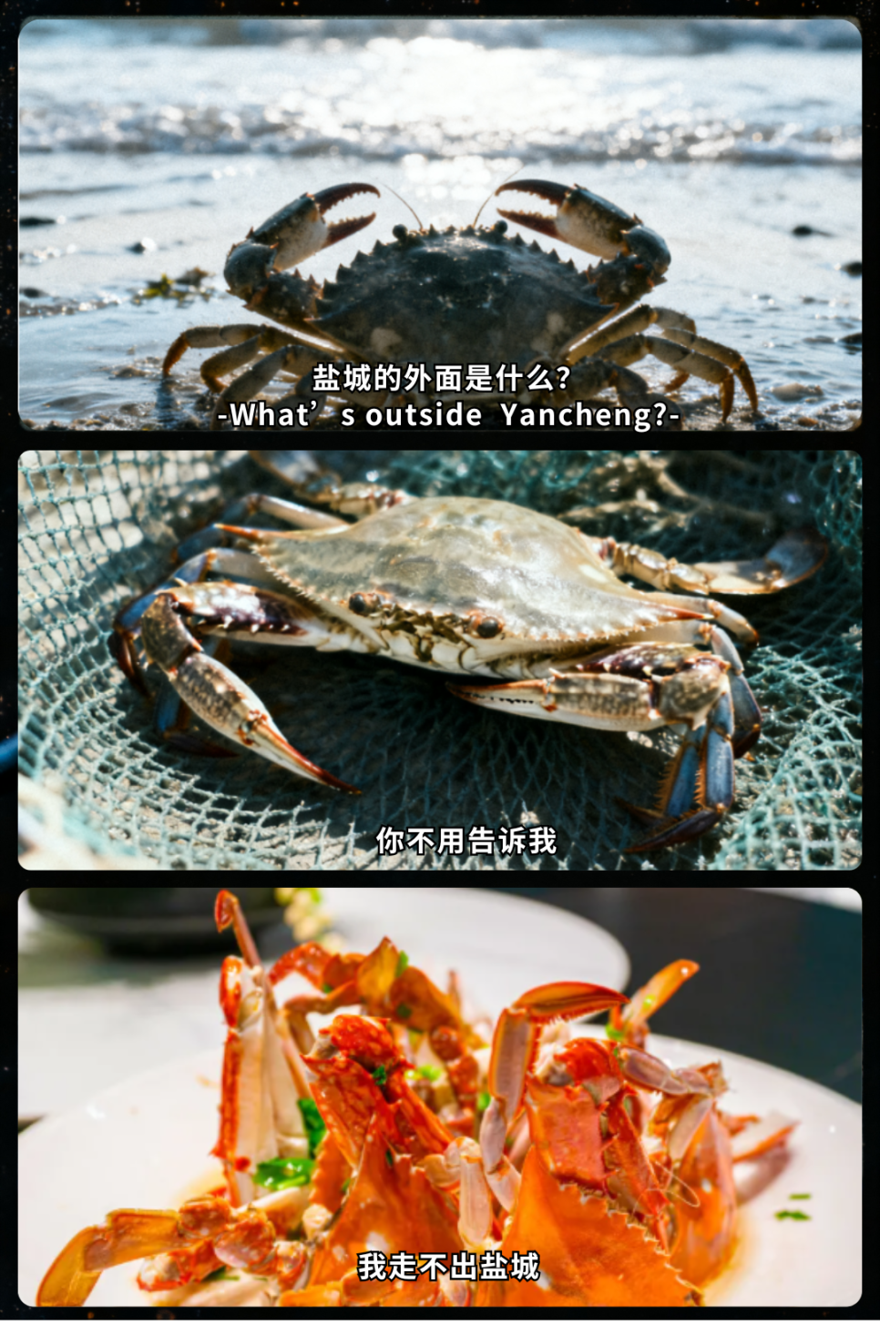 你的段落文字 (6).png