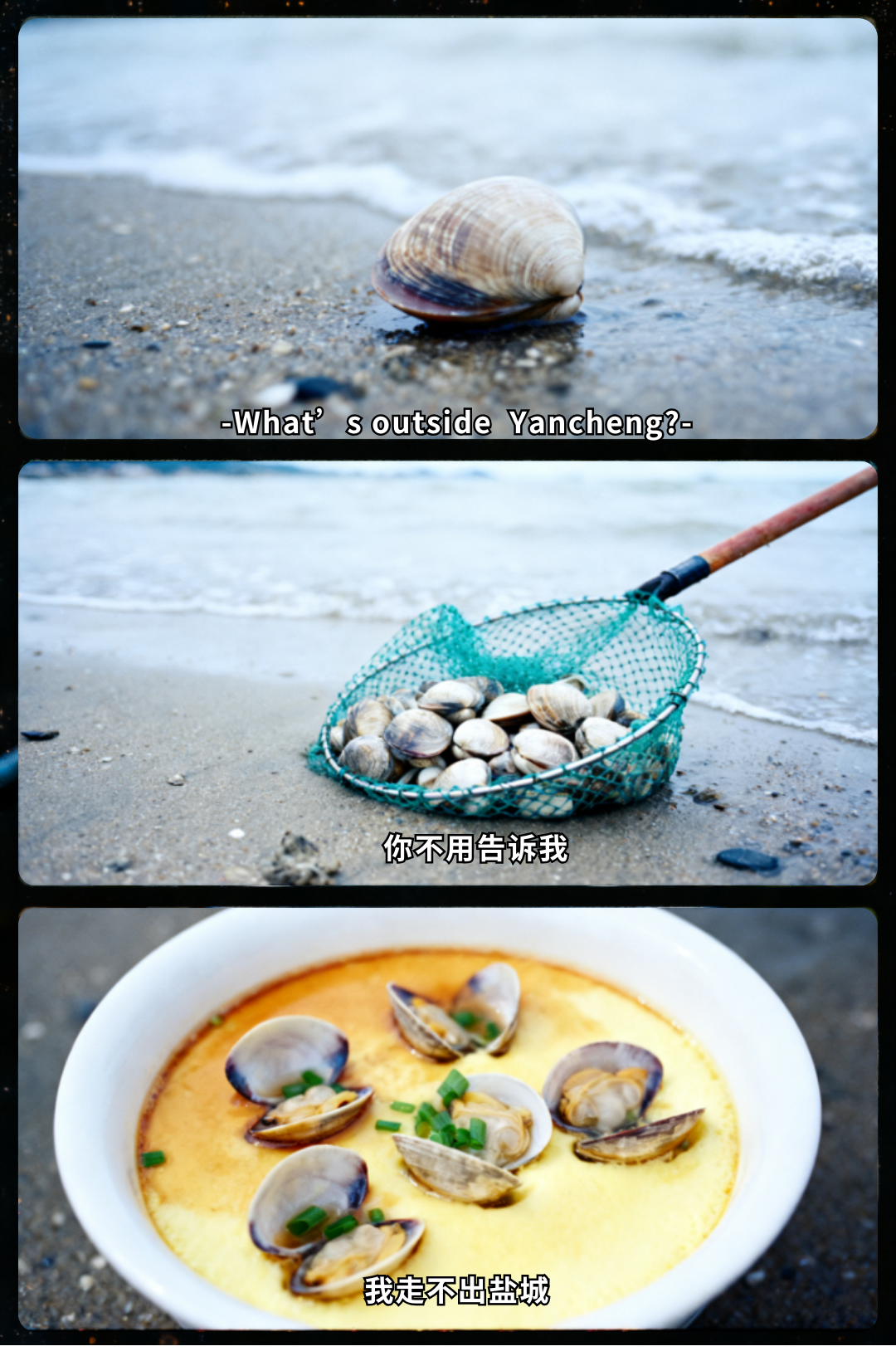 你的段落文字 (9).png