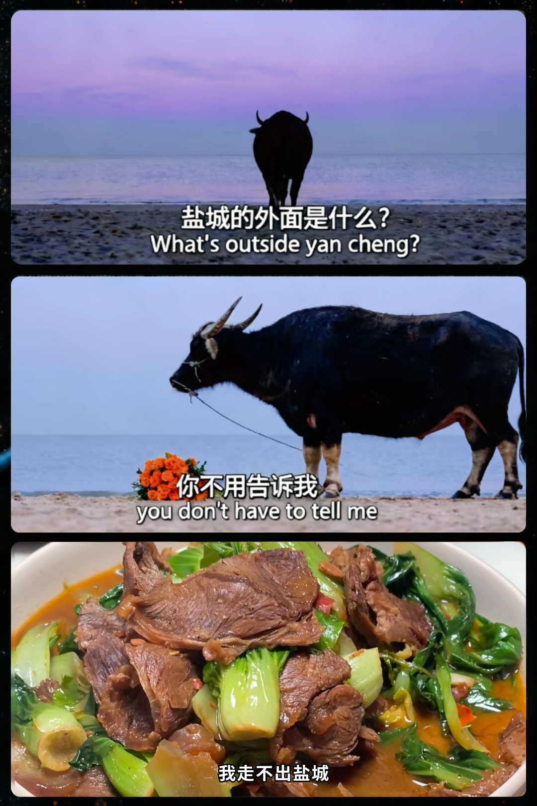 你的段落文字 (2).png