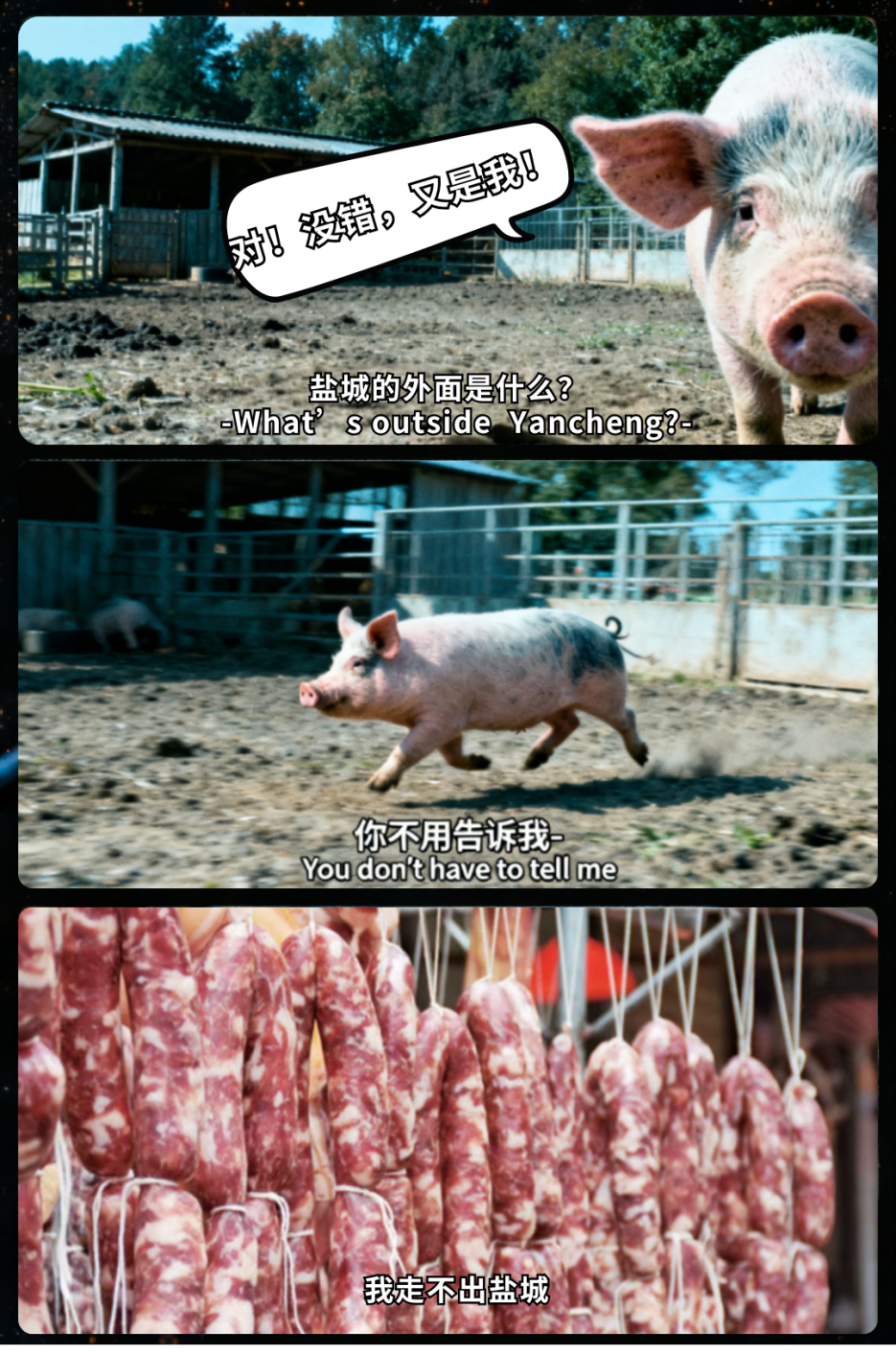 你的段落文字 (10).png