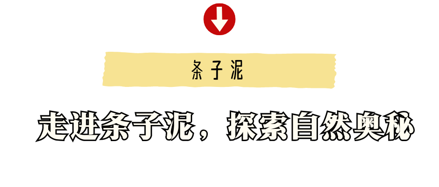 黄色可爱开学指南微信公众号封面 (1).png