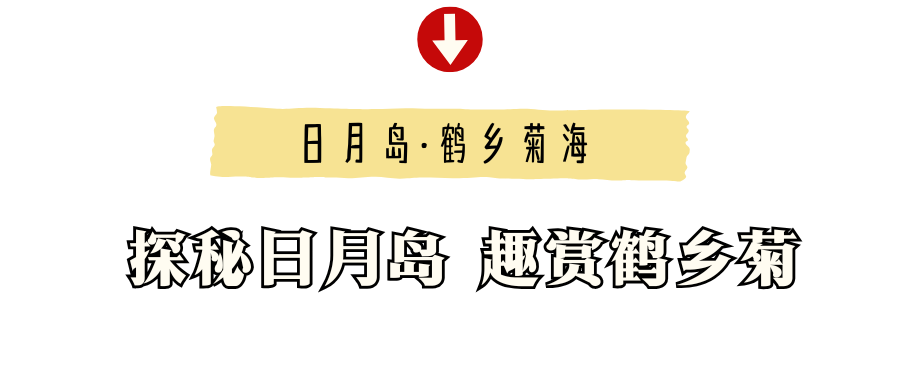 黄色可爱开学指南微信公众号封面 (5).png