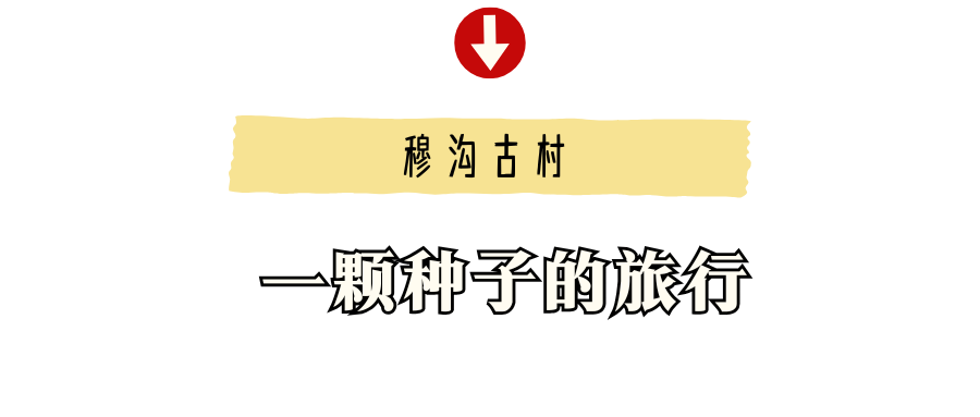 黄色可爱开学指南微信公众号封面 (3).png
