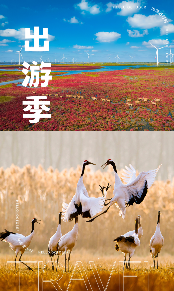 绿色简约照片五月你好海报（竖版） (1).png