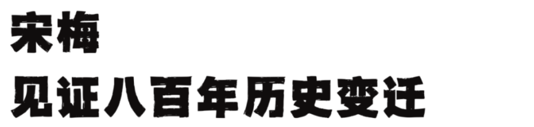 灰蓝色趣味拼贴风学生会社团招新海报（横版） (12).png