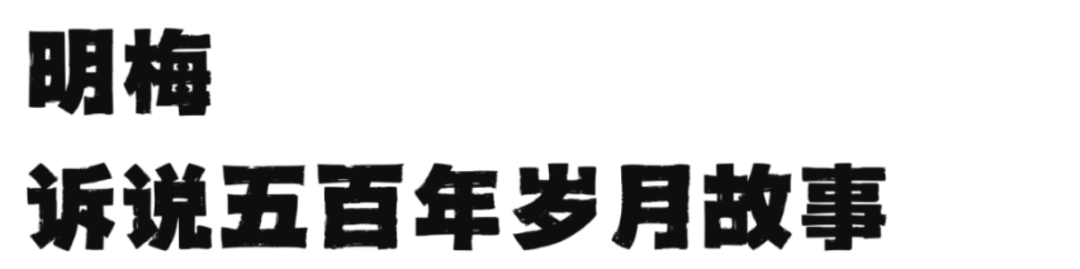 灰蓝色趣味拼贴风学生会社团招新海报（横版） (13).png