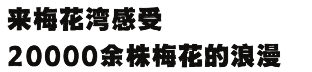 灰蓝色趣味拼贴风学生会社团招新海报（横版） (9).png