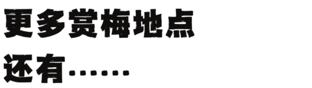 灰蓝色趣味拼贴风学生会社团招新海报（横版） (8).png