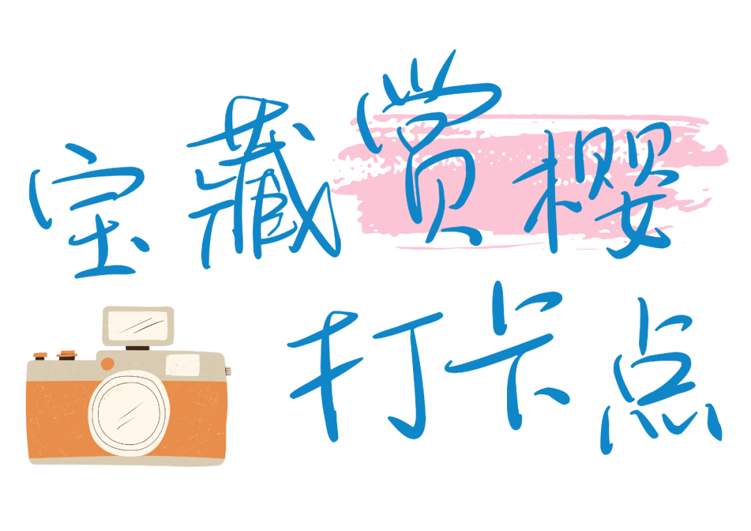 粉蓝色樱花季春游踏青出游活动横版海报 (1).png