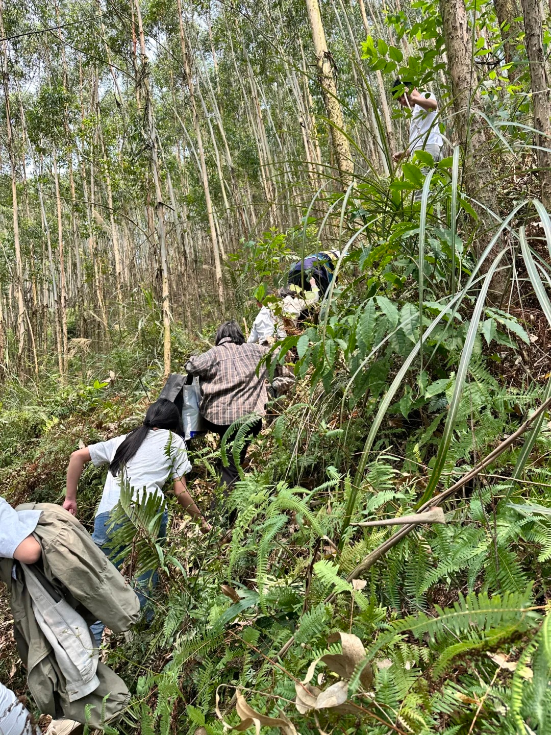 家人同行“拜山”。图源网友