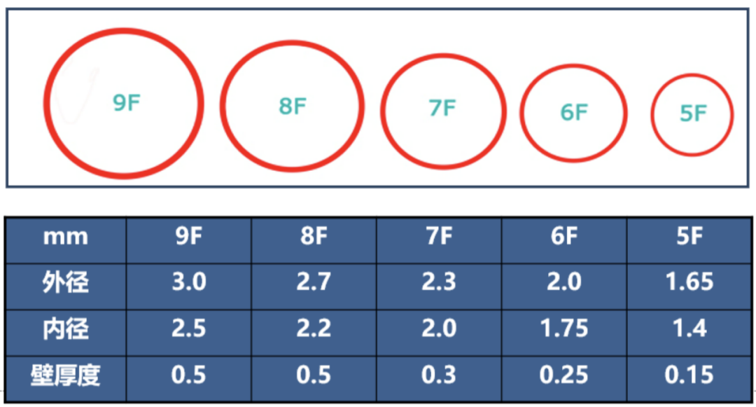 介入怎么进导管陈勇：介入秘籍——指引导管的选择及操作要点_https://www.jmylbn.com_新闻资讯_第4张