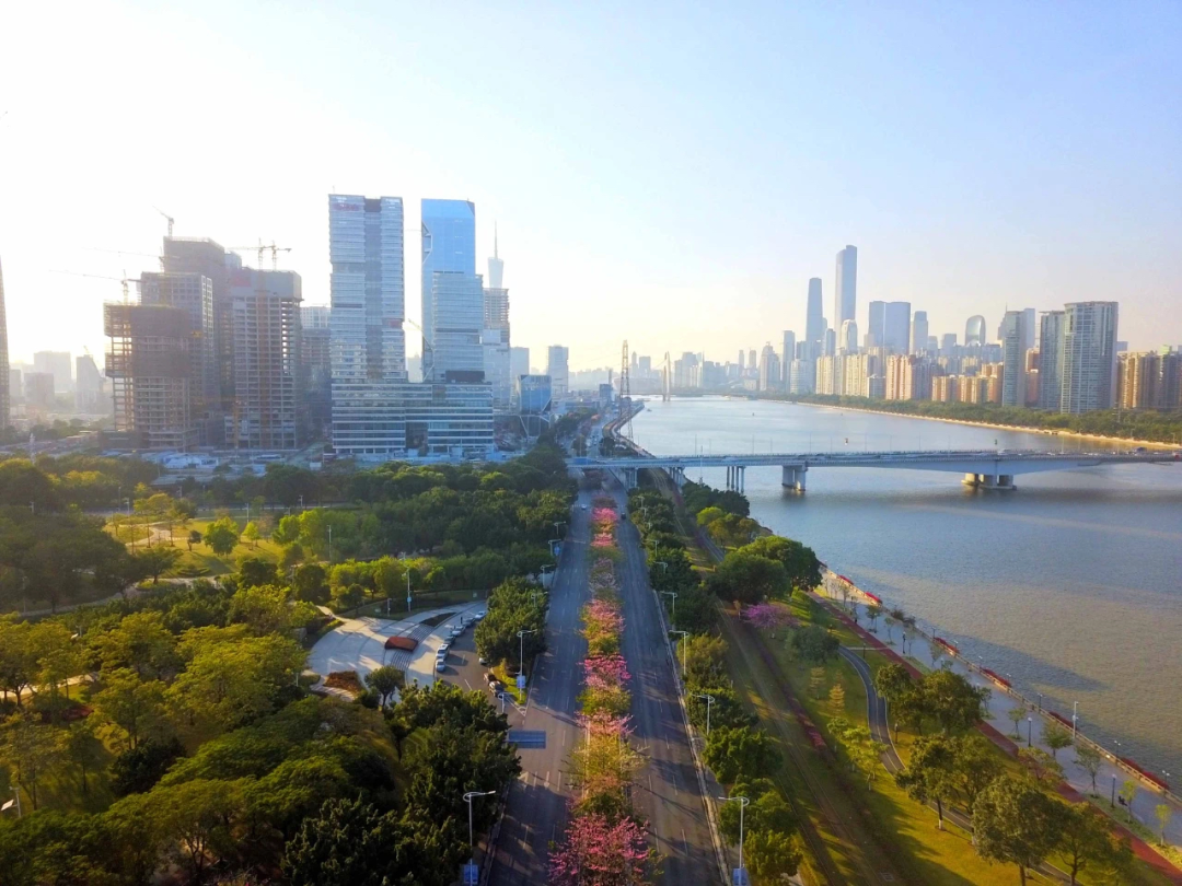 琶洲南5栋加推，单价13-15万！